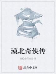 漠北奇侠传