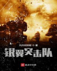 银翼突击队