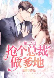 一胎三宝:抢个总裁做爹地