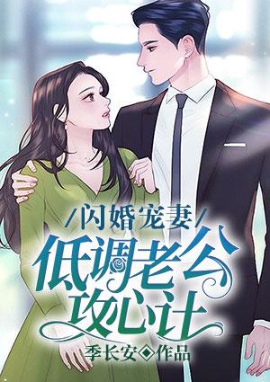 闪婚宠妻之低调老公攻心计