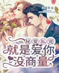秘爱私宠,就是爱你没商量
