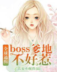 全球通缉:boss爹地不好惹