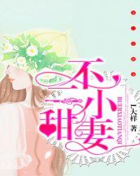 不二小甜妻