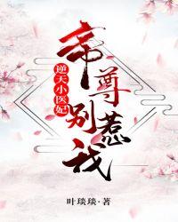 逆天小医妃:帝尊,别惹我