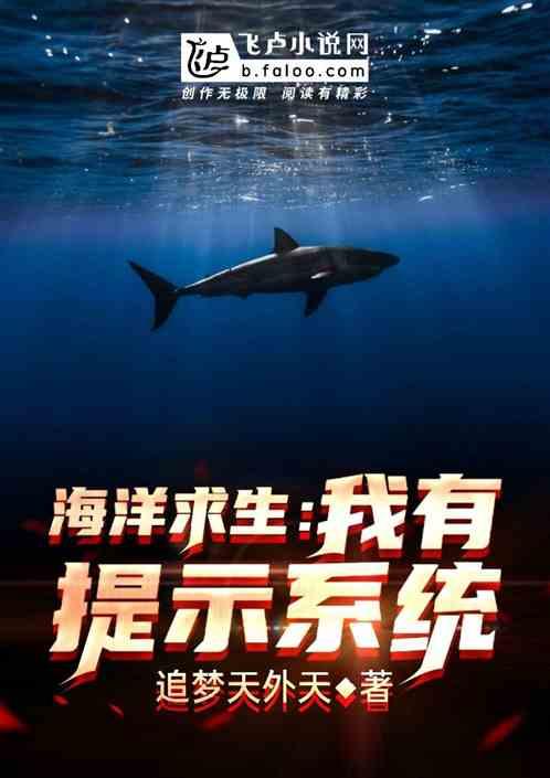 海洋求生:我有提示系统