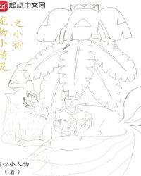 宠物小精灵之小析