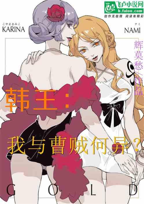 韩王:我与曹贼何异?