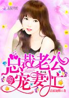 总裁老公,宠妻忙!