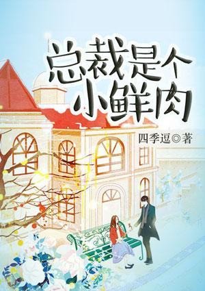 总裁是个小鲜肉