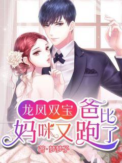 龙凤双宝:爸比,妈咪又跑了