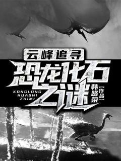 云峰追寻:恐龙化石之谜