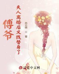 傅爷,夫人离婚后又找替身了