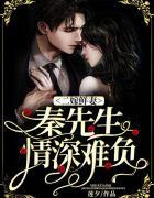 二嫁鲜妻:秦先生情深难负