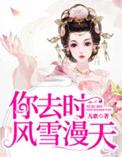 你去时,风雪漫天