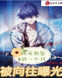 桃花源签到一个月，被向往曝光了