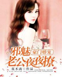 豪门婚宠:邪魅老公夜夜撩
