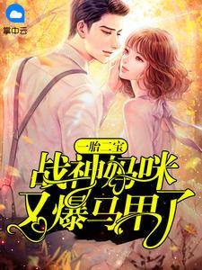 一胎二宝:战神妈咪又爆马甲了虞思楠霍铭扬