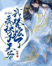 穿书后我替嫁了病秧子王爷