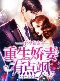 君少独宠重生娇妻有点飒