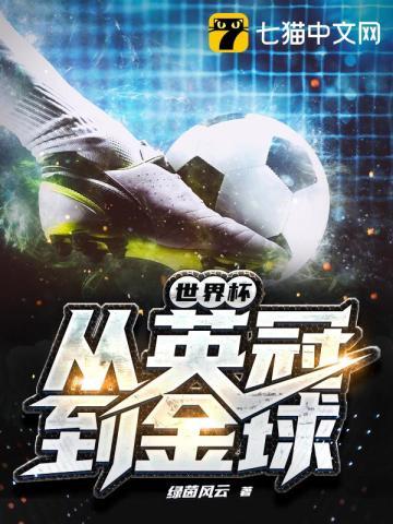 世界杯:从英冠到金球