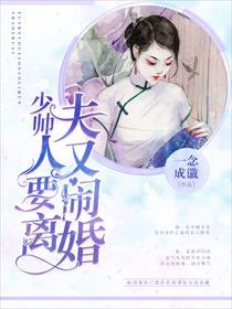 少帅,夫人又要闹离婚