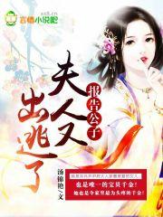 报告公子,夫人又出逃了