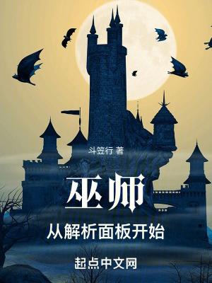 巫师:从解析面板开始