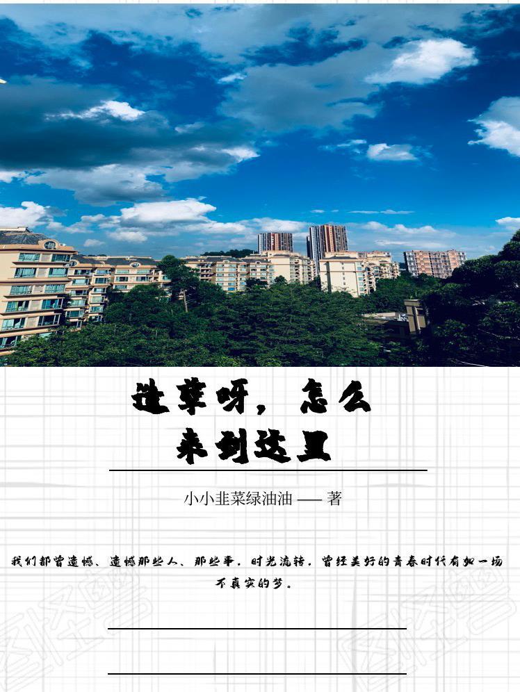 造孽呀,怎么来到这里