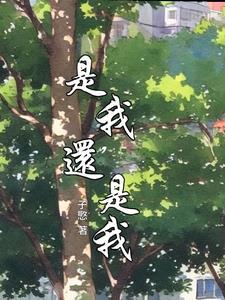 是我,还是我
