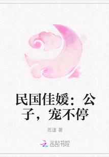 民国佳媛:公子,宠不停