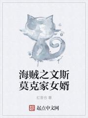 海贼之文斯莫克家女婿(海贼之幻兽种批发商)