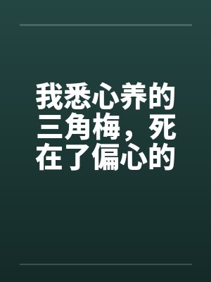我悉心养的三角梅，死在了偏心的家
